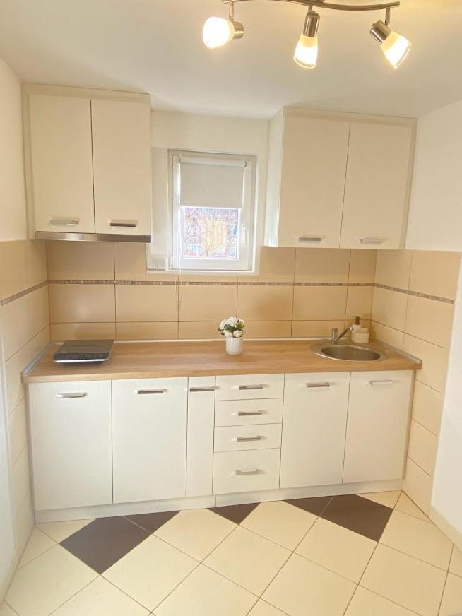 Apartman Mina Mataruska Banja Екстериор снимка