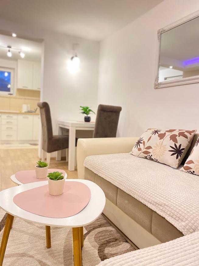 Apartman Mina Mataruska Banja Екстериор снимка