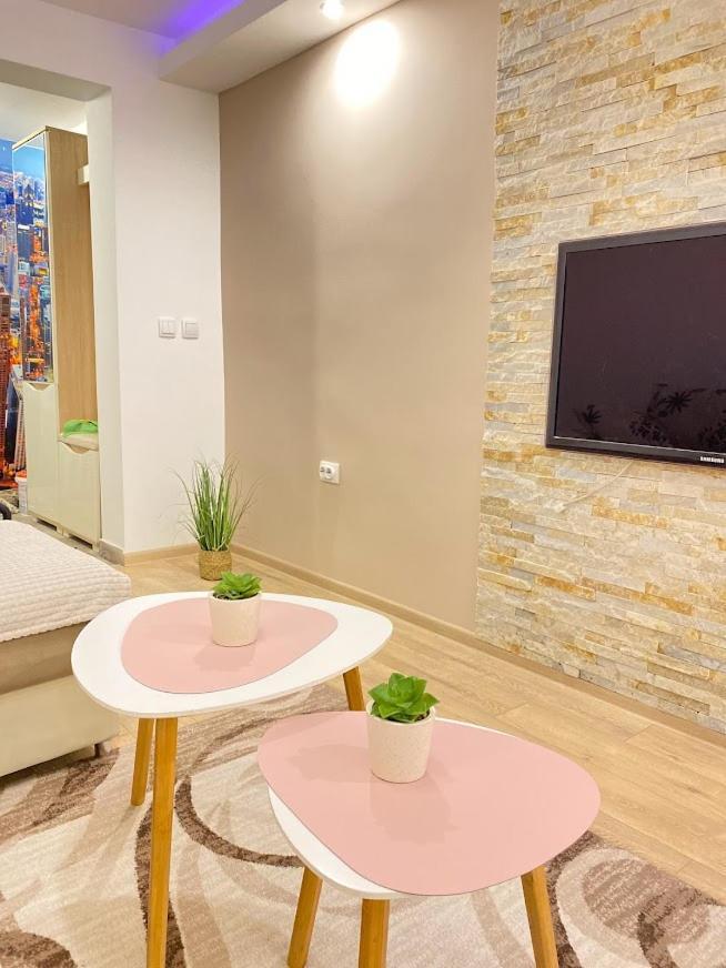 Apartman Mina Mataruska Banja Екстериор снимка