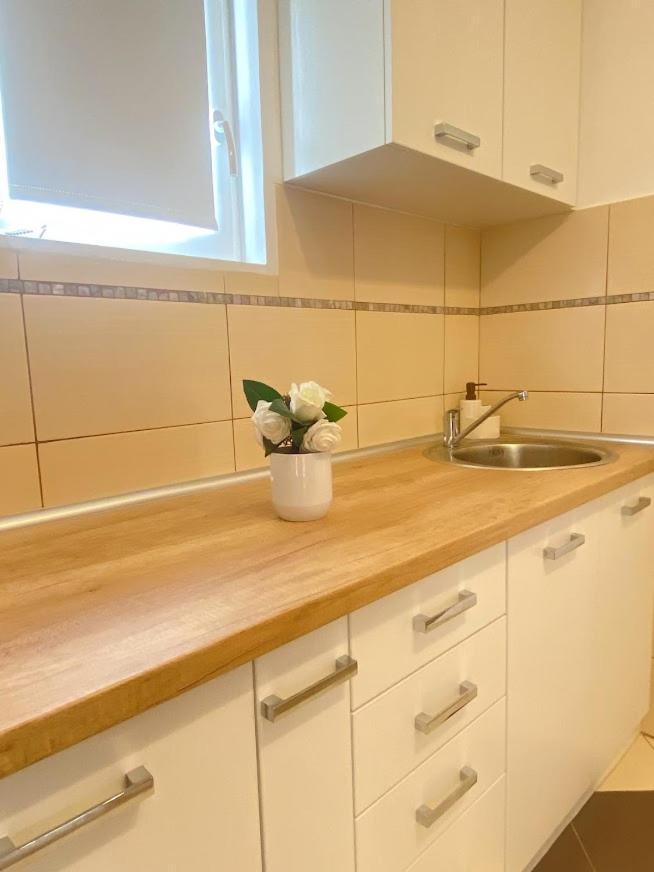 Apartman Mina Mataruska Banja Екстериор снимка
