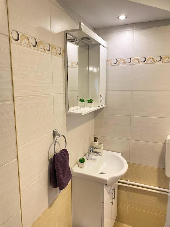 Apartman Mina Mataruska Banja Екстериор снимка