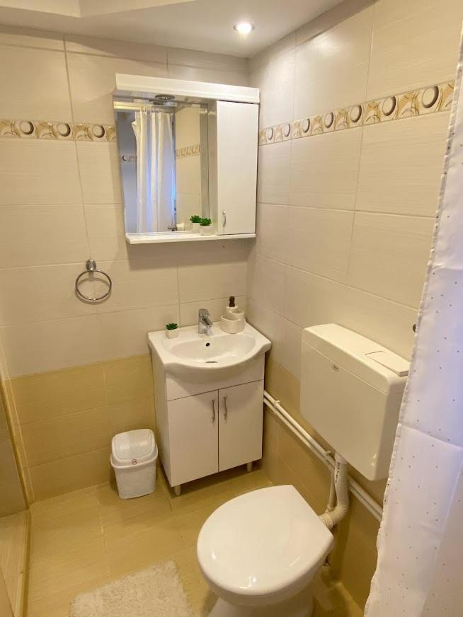 Apartman Mina Mataruska Banja Екстериор снимка